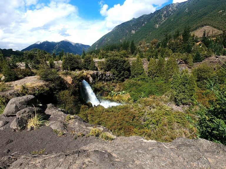 IMG-20220826-WA0003