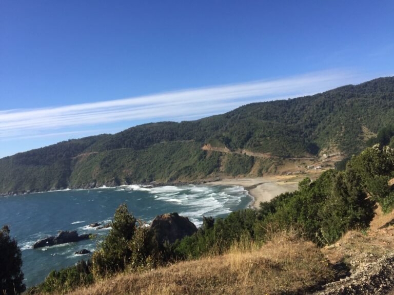 IMG-20221003-WA0057