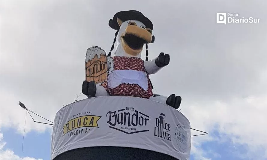 Main image for Tour vaquita y mirador de letras